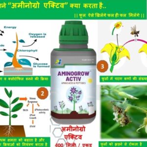 AMINOGROW ACTIVE