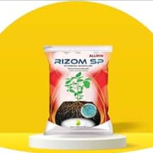RIZOM SP